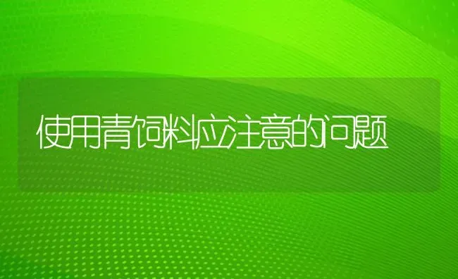 使用青饲料应注意的问题 | 动物养殖饲料