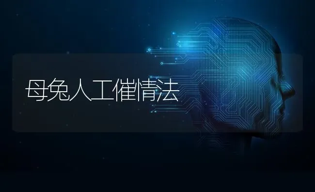 母兔人工催情法 | 家畜养殖