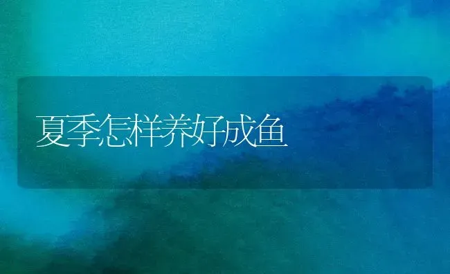 夏季怎样养好成鱼 | 淡水养殖