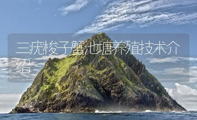 三疣梭子蟹池塘养殖技术介绍 | 海水养殖