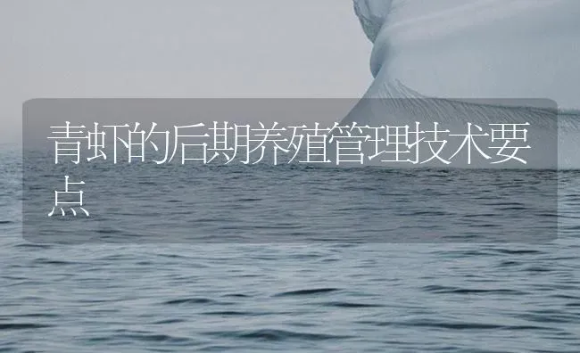 青虾的后期养殖管理技术要点 | 海水养殖