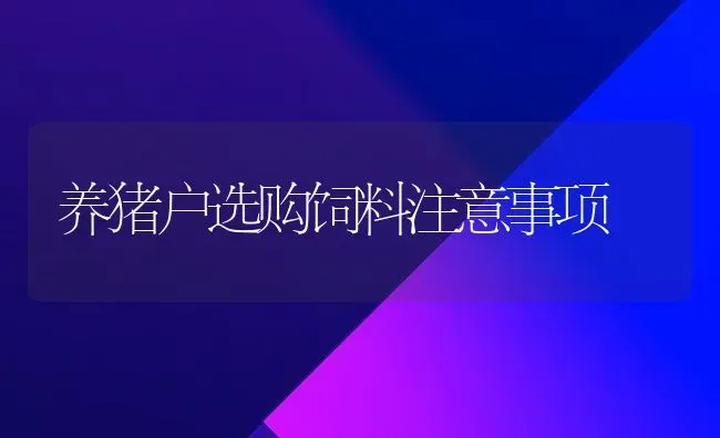 养猪户选购饲料注意事项 | 家畜养殖