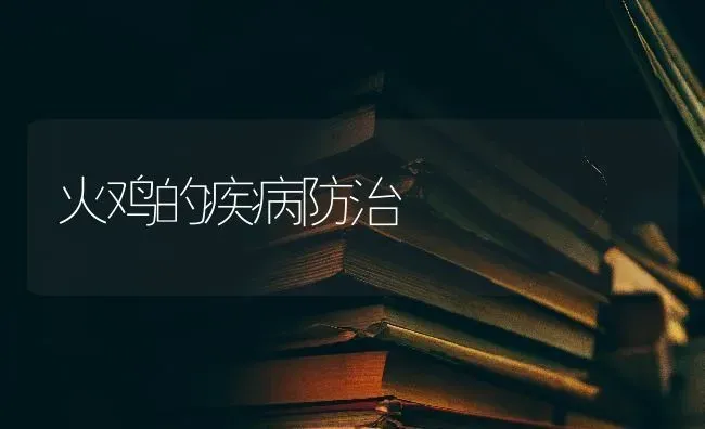 火鸡的疾病防治 | 家禽养殖