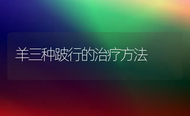 羊三种跛行的治疗方法 | 家畜养殖