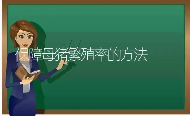 保障母猪繁殖率的方法 | 家畜养殖
