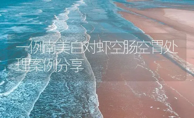 一例南美白对虾空肠空胃处理案例分享 | 海水养殖