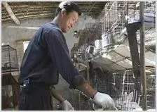 獭兔养殖技术之配不上种的防治技术 | 动物饲养方法