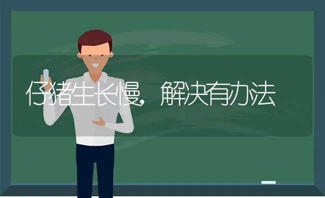 仔猪生长慢，解决有办法 | 家畜养殖