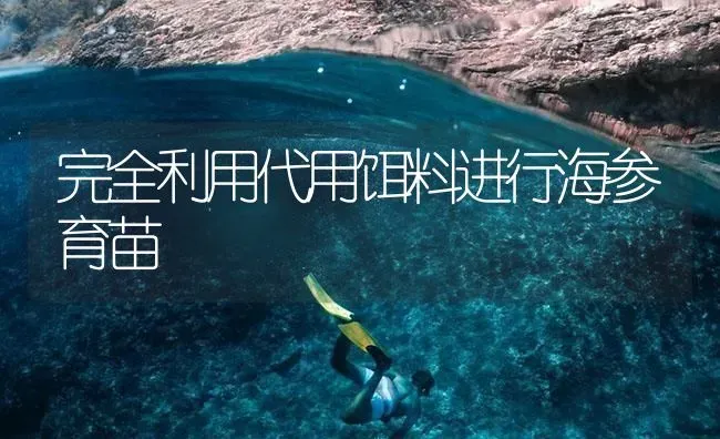 完全利用代用饵料进行海参育苗 | 海水养殖