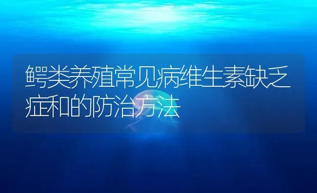 鳄类养殖常见病维生素缺乏症和的防治方法 | 养殖病虫害防治