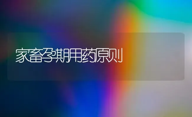 家畜孕期用药原则 | 养殖病虫害防治