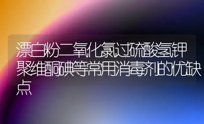 漂白粉二氧化氯过硫酸氢钾聚维酮碘等常用消毒剂的优缺点 | 养殖病虫害防治