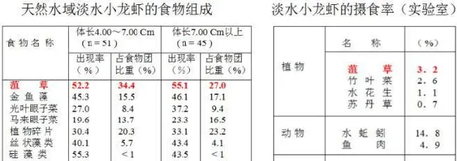 提高小龙虾单产的关键技术及重要问题