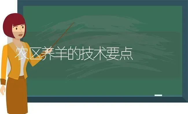 农区养羊的技术要点 | 家畜养殖