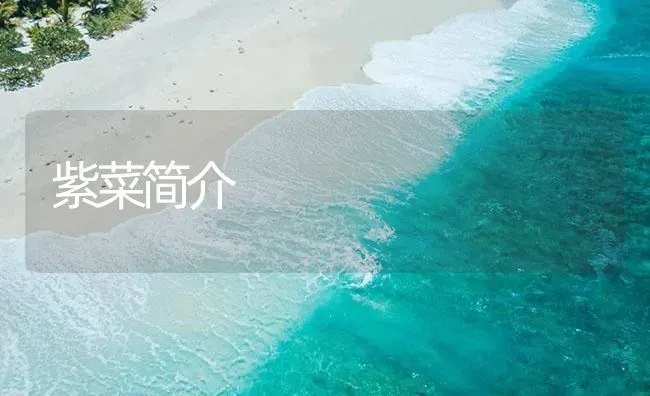紫菜简介 | 海水养殖