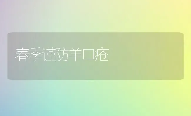 春季谨防羊口疮 | 家畜养殖