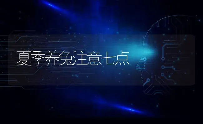 夏季养兔注意七点 | 家畜养殖