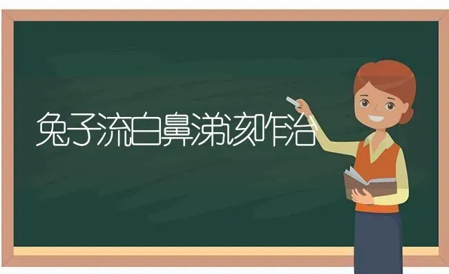 兔子流白鼻涕该咋治 | 家畜养殖