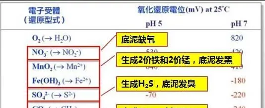 判断你的池塘底质好不好，到底要看哪些指标？