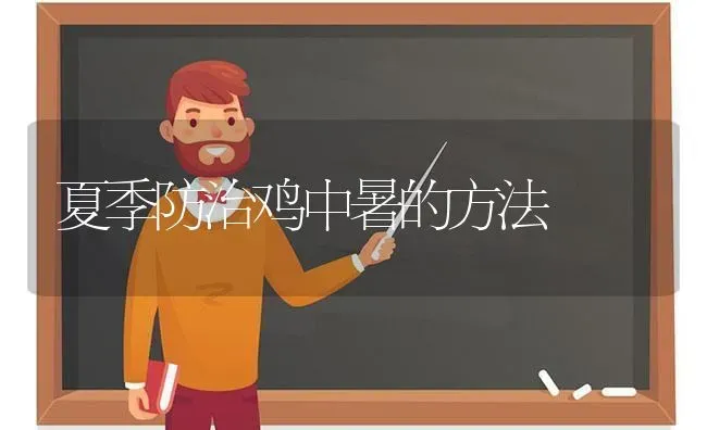 夏季防治鸡中暑的方法 | 家禽养殖