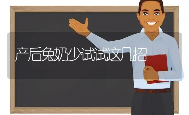 产后兔奶少试试这几招 | 家畜养殖