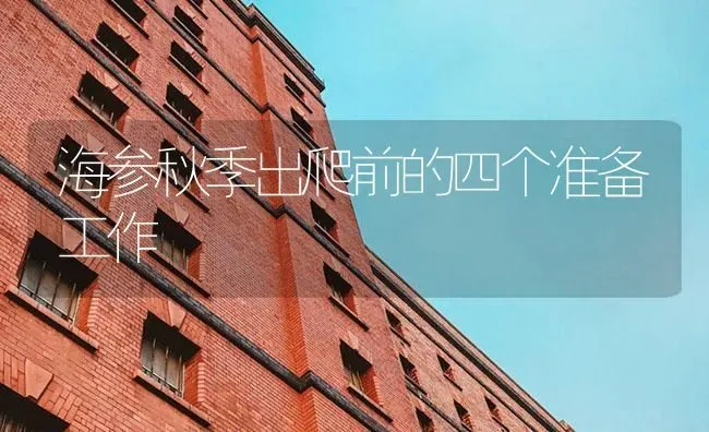 海参秋季出爬前的四个准备工作 | 海水养殖