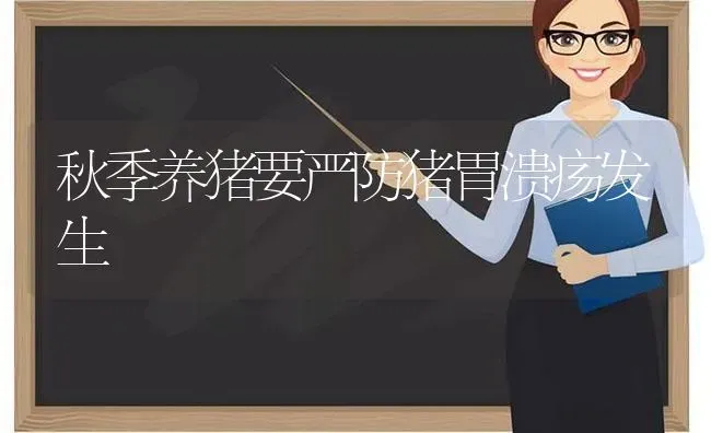 秋季养猪要严防猪胃溃疡发生 | 家畜养殖