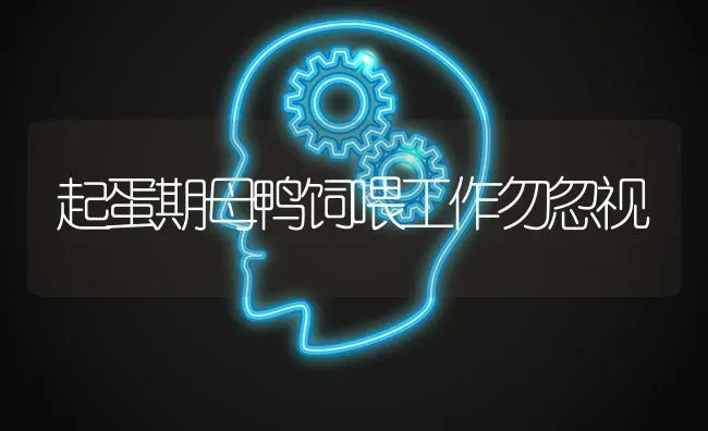 起蛋期母鸭饲喂工作勿忽视 | 家禽养殖