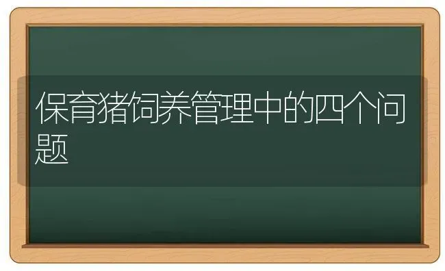 保育猪饲养管理中的四个问题 | 家畜养殖