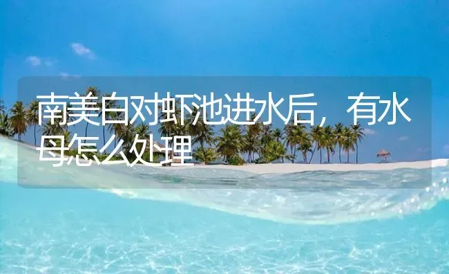 南美白对虾池进水后，有水母怎么处理 | 海水养殖