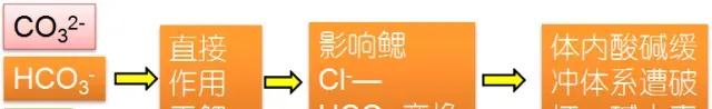 池塘水质碱度介绍及调控解决方案！