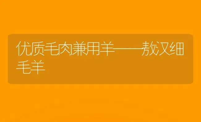 优质毛肉兼用羊——敖汉细毛羊 | 家畜养殖