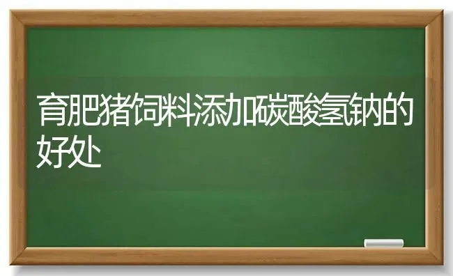 育肥猪饲料添加碳酸氢钠的好处 | 家畜养殖