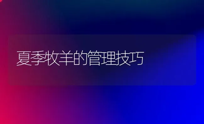 夏季牧羊的管理技巧 | 家畜养殖