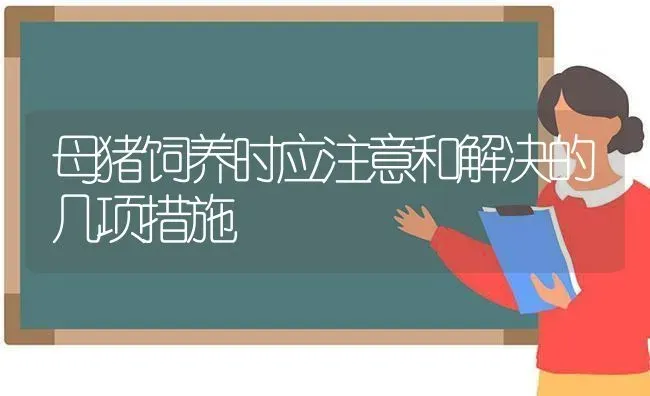 母猪饲养时应注意和解决的几项措施 | 家畜养殖