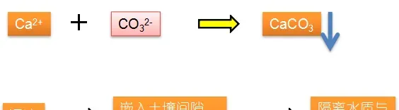 池塘水质碱度介绍及调控解决方案！