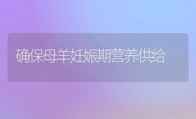 确保母羊妊娠期营养供给 | 家畜养殖