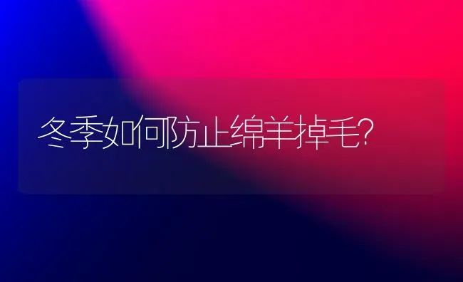 冬季如何防止绵羊掉毛？ | 家畜养殖