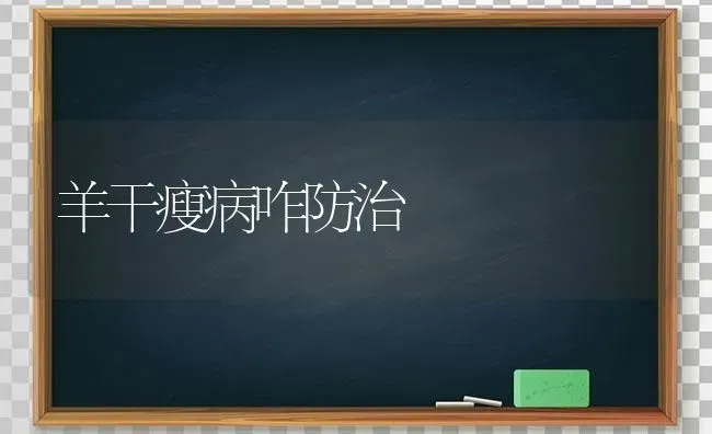 羊干瘦病咋防治 | 家畜养殖