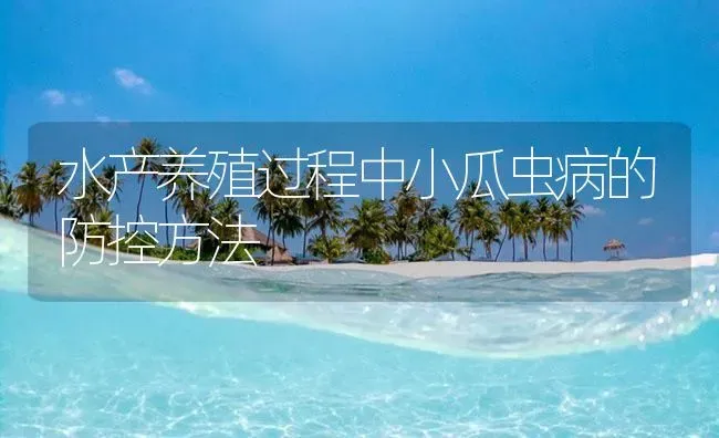 水产养殖过程中小瓜虫病的防控方法 | 养殖病虫害防治