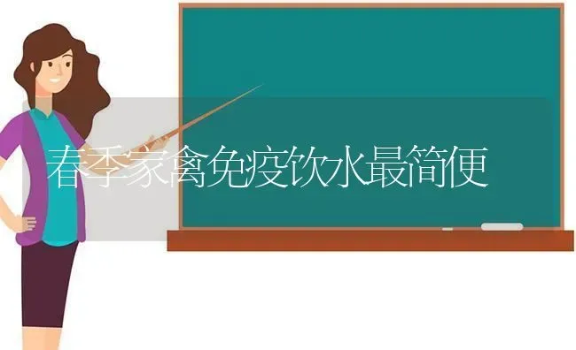 春季家禽免疫饮水最简便 | 家禽养殖