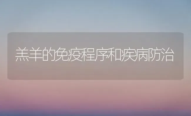 羔羊的免疫程序和疾病防治 | 家畜养殖