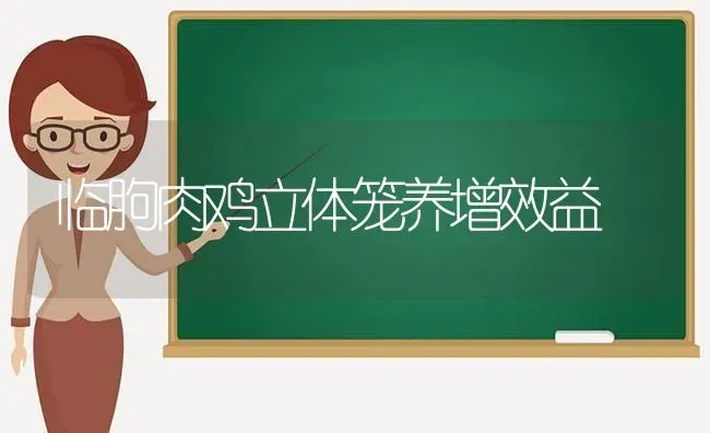 临朐肉鸡立体笼养增效益 | 家禽养殖