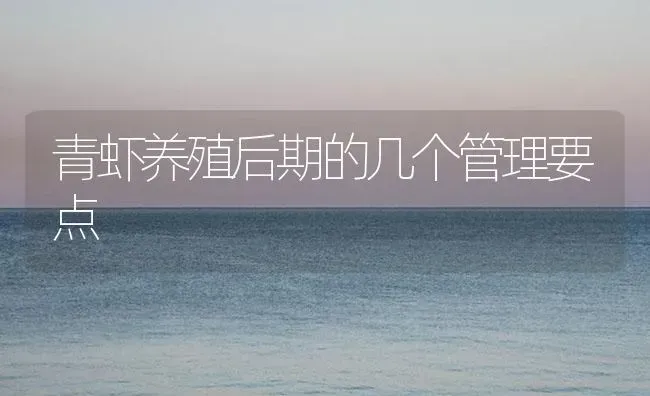 青虾养殖后期的几个管理要点 | 海水养殖