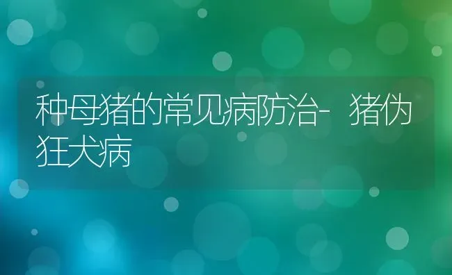 种母猪的常见病防治-猪伪狂犬病 | 家畜养殖