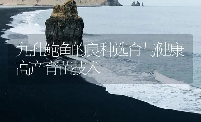九孔鲍鱼的良种选育与健康高产育苗技术 | 海水养殖