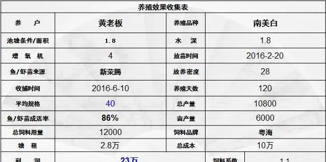 高位池养对虾，怎么养才会有高成活率？