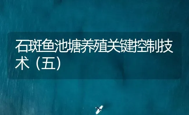 石斑鱼池塘养殖关键控制技术（五） | 海水养殖