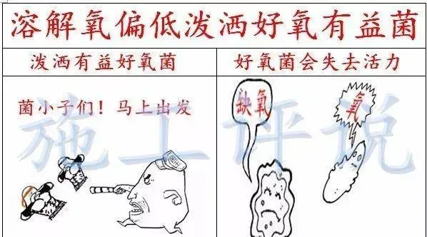 微生物是把双刃剑，养殖户要合理使用才能发挥最大效果