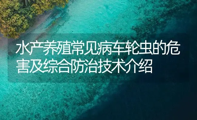 水产养殖常见病车轮虫的危害及综合防治技术介绍 | 养殖病虫害防治